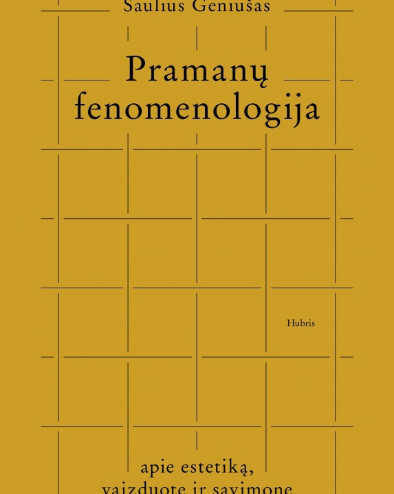 Pramanų fenomenologija
